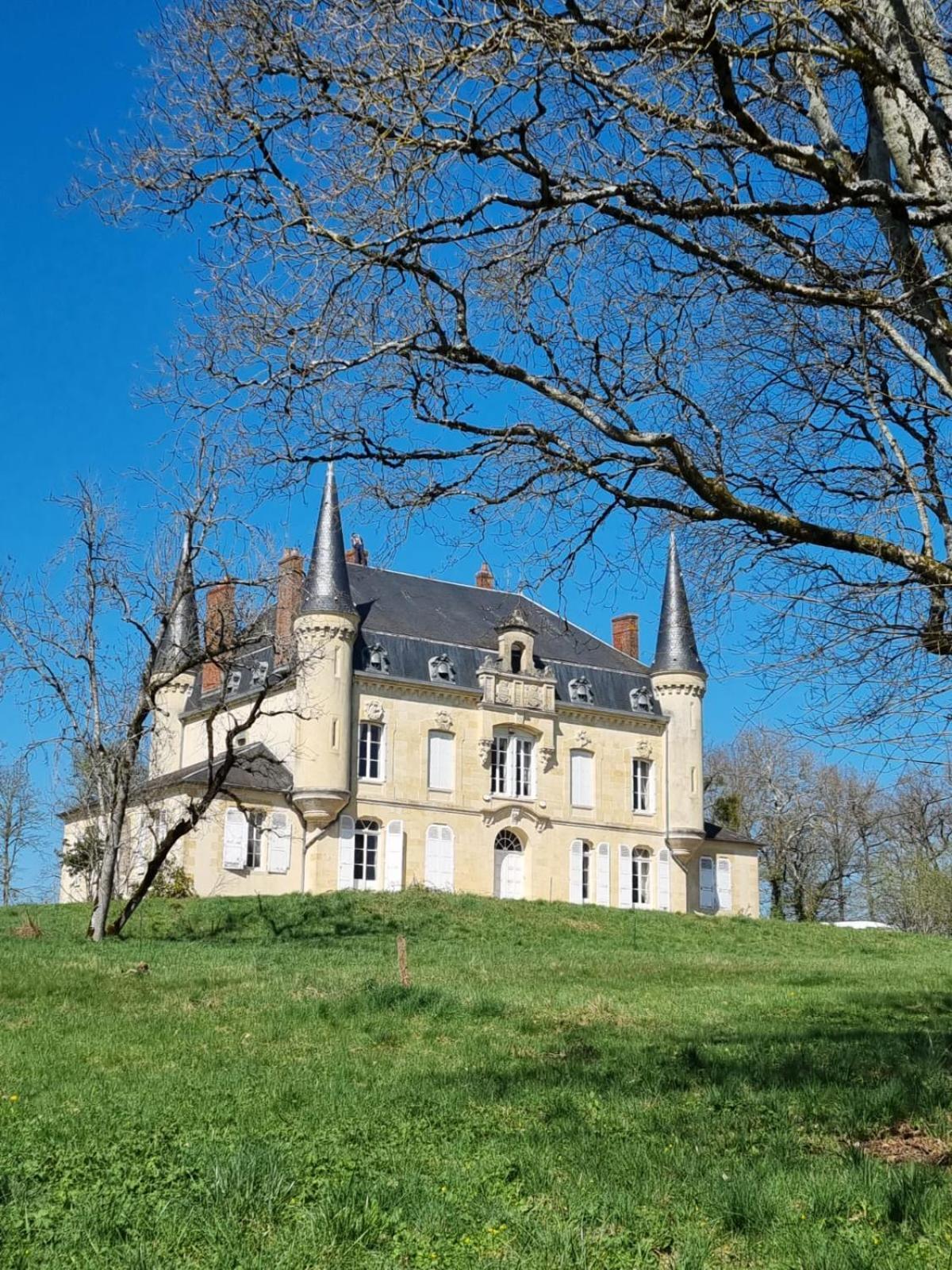 Chateau Le Plessis Semelay Екстер'єр фото